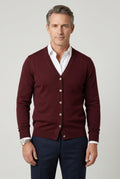 V-Hals Cardigan met Knoopsluiting voor Heren